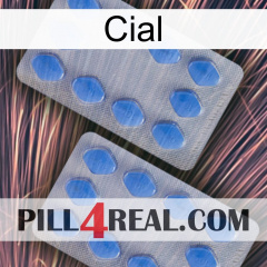 Cial 20
